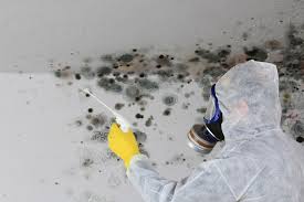 Best Air Quality Testing for Mold Spores  in Arcanum, OH